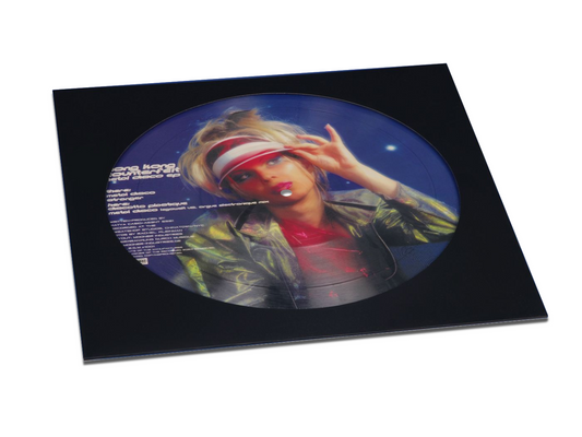 Platenhoes met venster 12inch zwart