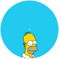 Homer Simpson Slipmat